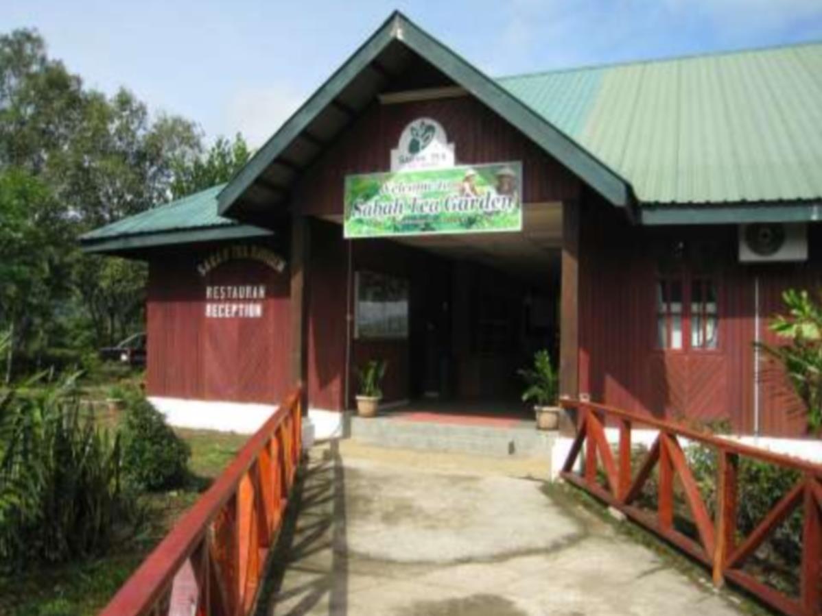Sabah Tea Garden-Longhouses Ранау Экстерьер фото