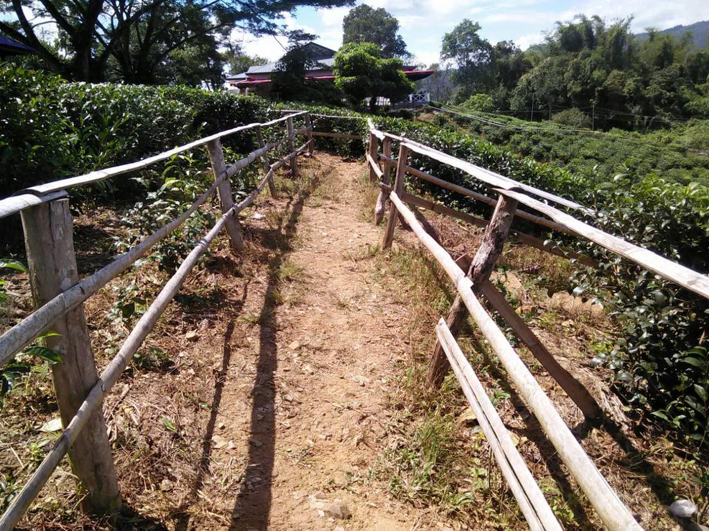 Sabah Tea Garden-Longhouses Ранау Экстерьер фото