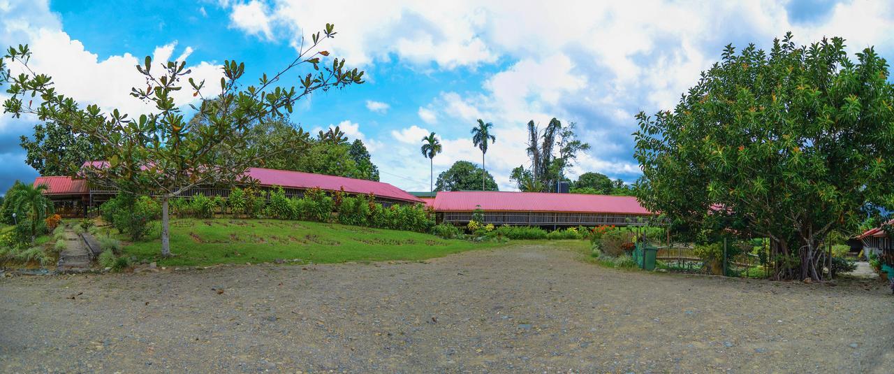 Sabah Tea Garden-Longhouses Ранау Экстерьер фото