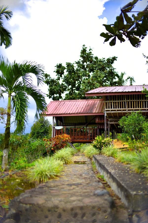Sabah Tea Garden-Longhouses Ранау Экстерьер фото
